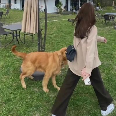 狼虎相残 封面